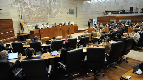 Pleno Asamblea de Extremadura