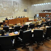Pleno Asamblea de Extremadura