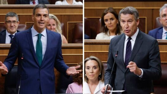 Pedro S&aacute;nchez y Alberto N&uacute;&ntilde;ez Feij&oacute;o durante la sesi&oacute;n de control en el Congreso/ EFE