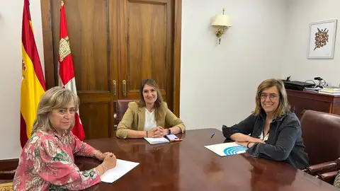 Junta y Diputación abordan la colaboración en torno a la Escuela de Enfermería .
