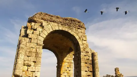 El yacimiento romano de Cáparra mostrará sus trabajos de puesta en valor en una visita guiada este sábado El yacimiento romano de Cáparra mostrará sus trabajos de puesta en valor en una visita guiada este sábado
