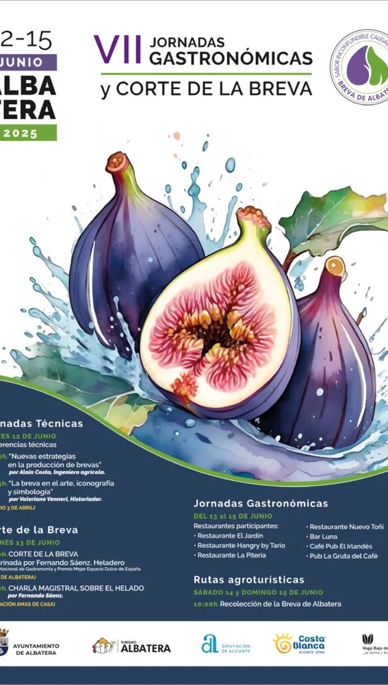 Jornadas de la Breva de Albatera Jornadas de la Breva de Albatera