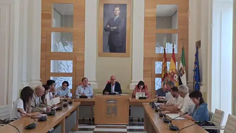 El Ayuntamiento de Cáceres arregla el desprendimiento de Torremochada y estudia hacerla visitable El Ayuntamiento de Cáceres arregla el desprendimiento de Torremochada y estudia hacerla visitable