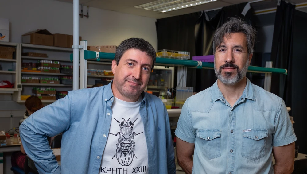 Investigadores José Pastor Pareja y Jorge Fernández. Investigadores José Pastor Pareja y Jorge Fernández.