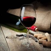 Copa de vino 