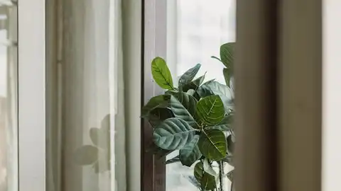 ventana de hogar abierta ventana de hogar abierta