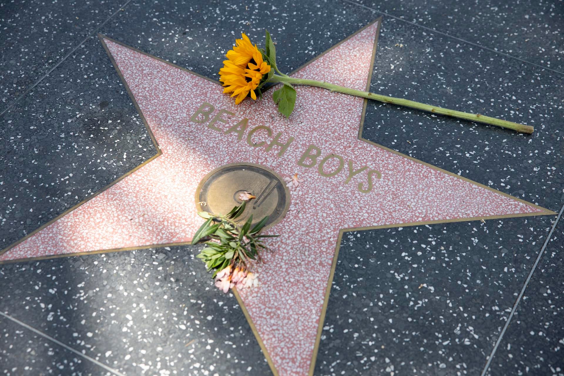 El adiós a Brian Wilson, el genio creativo de los Beach Boys El adiós a Brian Wilson, el genio creativo de los Beach Boys