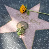 Flores sobre la estrella de los Beach Boys en el Paseo de la Fama de Hollywood, en Los Ángeles, California, EE. UU. Flores sobre la estrella de los Beach Boys en el Paseo de la Fama de Hollywood, en Los Ángeles, California, EE. UU.