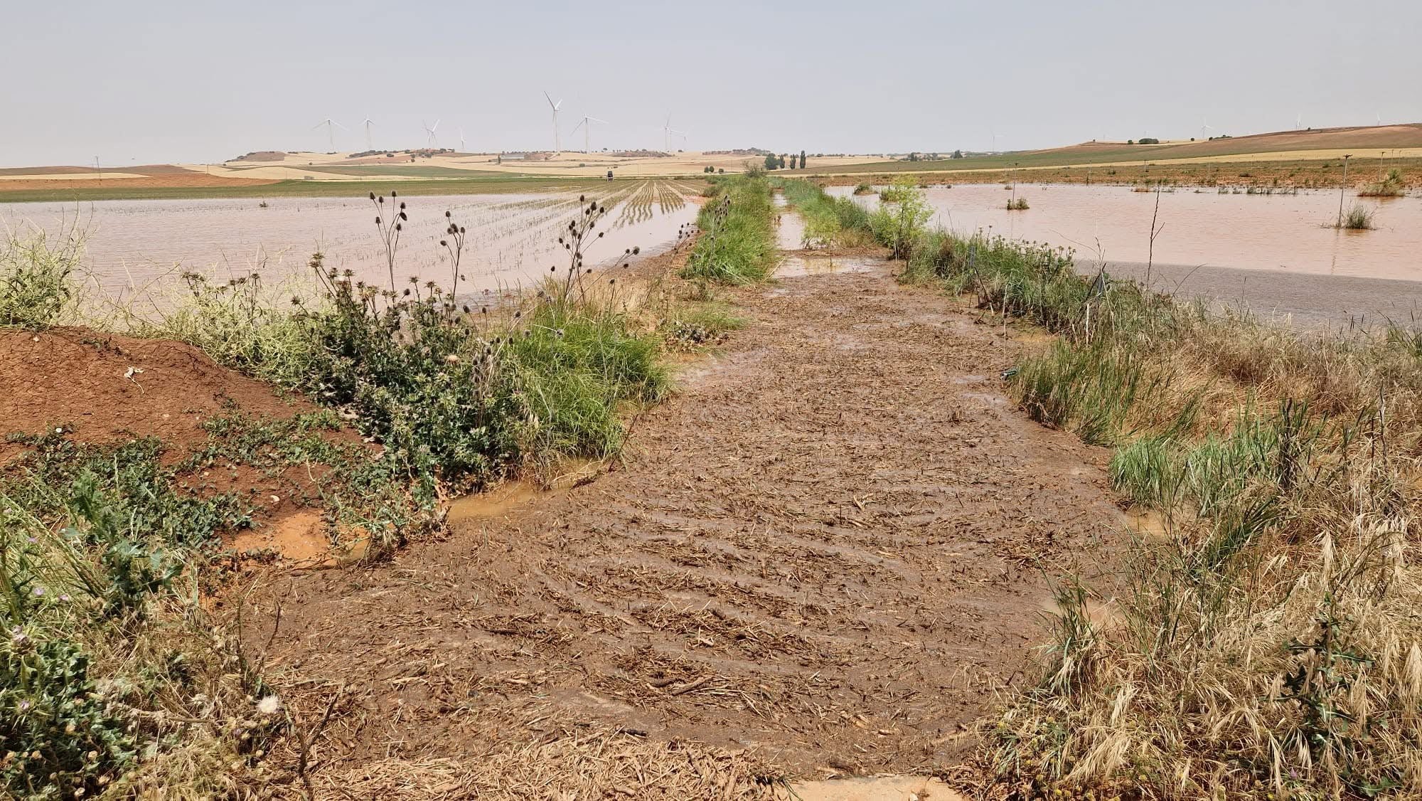 Destrozos en Cañada Juncosa y Torralba por otra fuerte tromba de agua en Cuenca Destrozos en Cañada Juncosa y Torralba por otra fuerte tromba de agua en Cuenca