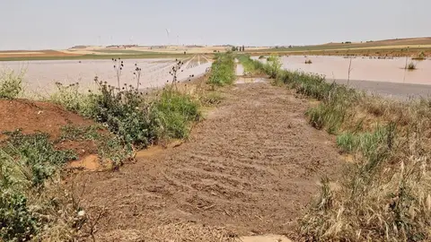 Estado de parcelas y caminos en Cañada Juncosa tras la tromba de agua Estado de parcelas y caminos en Cañada Juncosa tras la tromba de agua