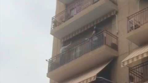 Momento de la actuaci&oacute;n policial en Elche.
