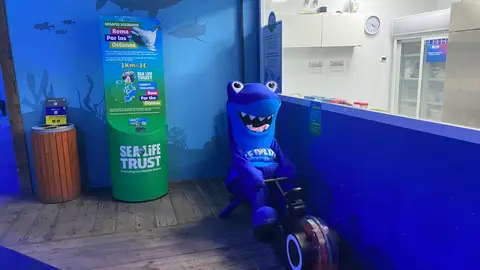 Arranca el reto “Rema por los océanos” cuyo objetivo es remar de Málaga a Islandia, para promover la protección del mundo marino Arranca el reto “Rema por los océanos” cuyo objetivo es remar de Málaga a Islandia, para promover la protección del mundo marino