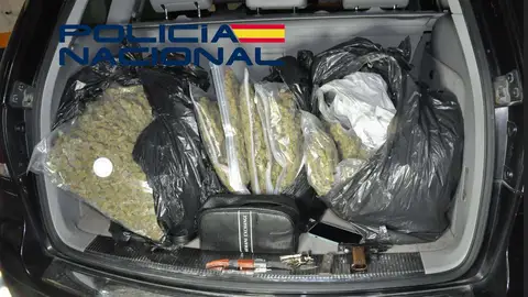 Ingresa en prisión un hombre detenido en Mérida con más de 16 kilos de marihuana y una pistola en su vehículo Ingresa en prisión un hombre detenido en Mérida con más de 16 kilos de marihuana y una pistola en su vehículo