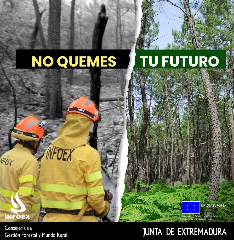 El Plan INFOEX sensibiliza a los extremeños con la campaña 'Planta cara al fuego, no quemes tu futuro' El Plan INFOEX sensibiliza a los extremeños con la campaña 'Planta cara al fuego, no quemes tu futuro'