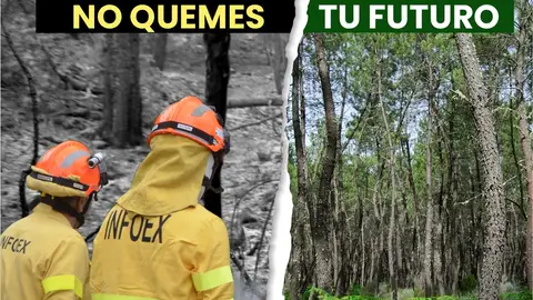El Plan INFOEX sensibiliza a los extremeños con la campaña 'Planta cara al fuego, no quemes tu futuro' El Plan INFOEX sensibiliza a los extremeños con la campaña 'Planta cara al fuego, no quemes tu futuro'