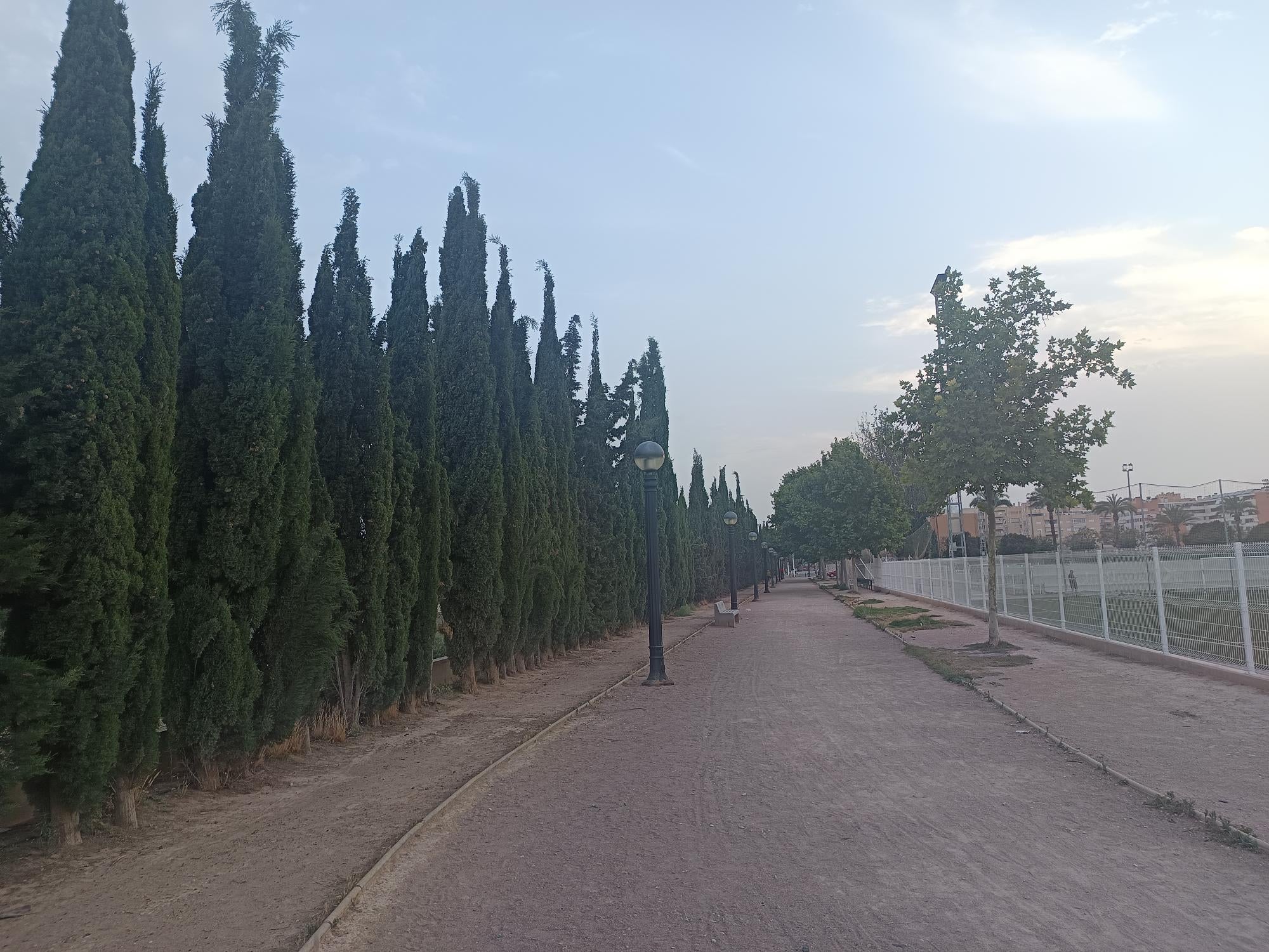La semana comienza en Elche, Crevillent y Santa Pola con un lunes con más sol que nubes y aún con calima La semana comienza en Elche, Crevillent y Santa Pola con un lunes con más sol que nubes y aún con calima