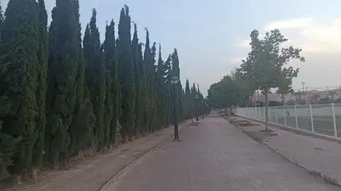 Elche. Elche.