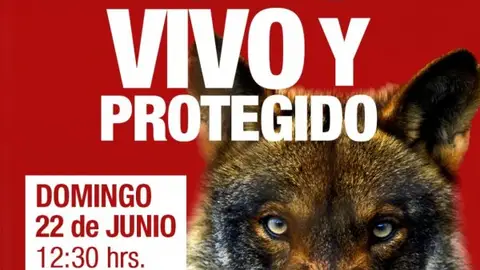 Colectivos ecologistas fletan un autobús para participar desde Extremadura en la manifestación en Madrid por el lobo Colectivos ecologistas fletan un autobús para participar desde Extremadura en la manifestación en Madrid por el lobo