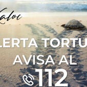 Alerta tortuga por la presencia de ejemplares en playas de la comarca al comienzo de la temporada de nidificación