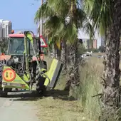 El Ayuntamiento de Benidorm ejecuta labores de limpieza de cunetas en todos los caminos rurales de l’Horta El Ayuntamiento de Benidorm ejecuta labores de limpieza de cunetas en todos los caminos rurales de l’Horta