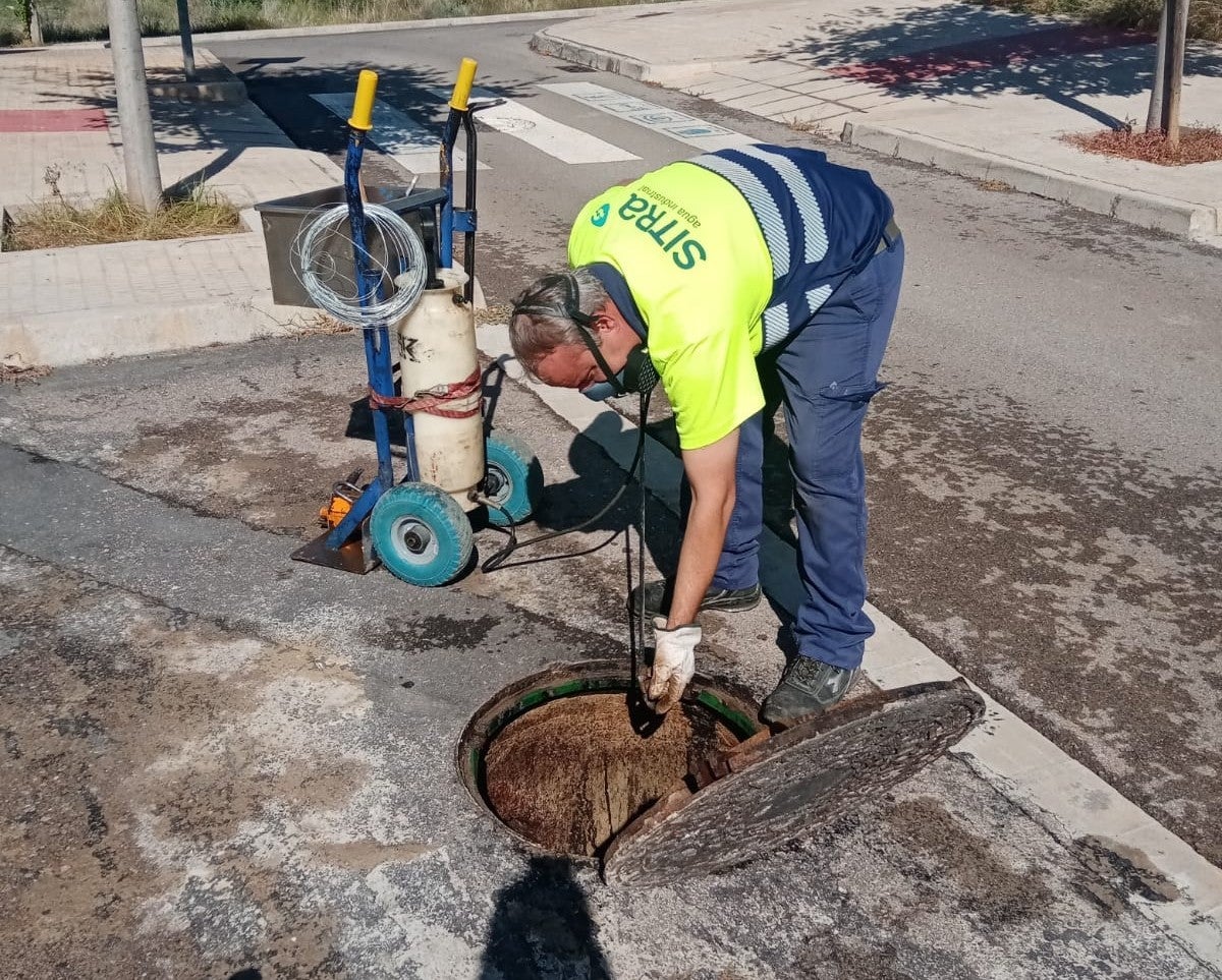Almassora refuerza los tratamientos contra ratas y cucarachas para evitar su proliferación durante el verano Almassora refuerza los tratamientos contra ratas y cucarachas para evitar su proliferación durante el verano