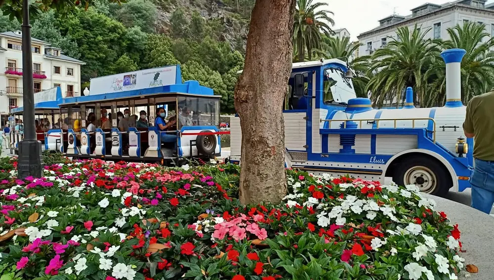 Valdes privatiza el Tren Turístico con libertad de operatividad durante todo el año y rutas. Valdes privatiza el Tren Turístico con libertad de operatividad durante todo el año y rutas.