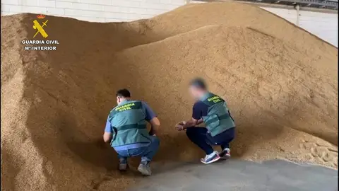 Imagen del arroz robado de una cooperativa de Isla Mayor Imagen del arroz robado de una cooperativa de Isla Mayor