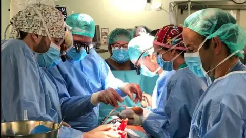 Trasplante en Canarias Trasplante en Canarias