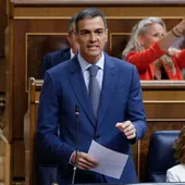El presidente del Gobierno, Pedro Sánchez. El presidente del Gobierno, Pedro Sánchez.