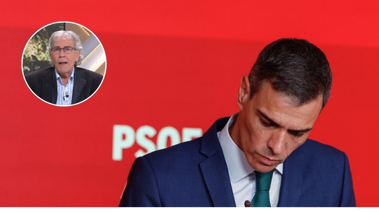 Toni Bolaño revela lo que sienten los 'sanchistas' en el PSOE sobre Pedro Sánchez: "No hay que confundir determinación con humildad" Toni Bolaño revela lo que sienten los 'sanchistas' en el PSOE sobre Pedro Sánchez: "No hay que confundir determinación con humildad"