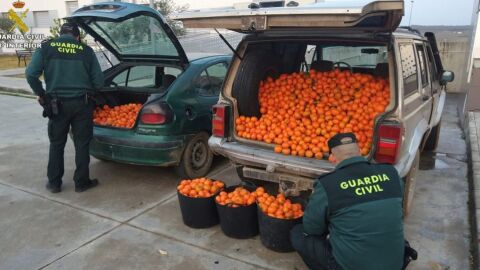 Naranjas robadas interceptadas por la Guardia Civil