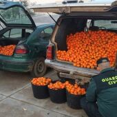 Naranjas robadas interceptadas por la Guardia Civil