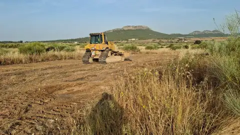 Hunan Yuneng inicia los trabajos de adecuación topográfica en ExpacioMérida Hunan Yuneng inicia los trabajos de adecuación topográfica en ExpacioMérida