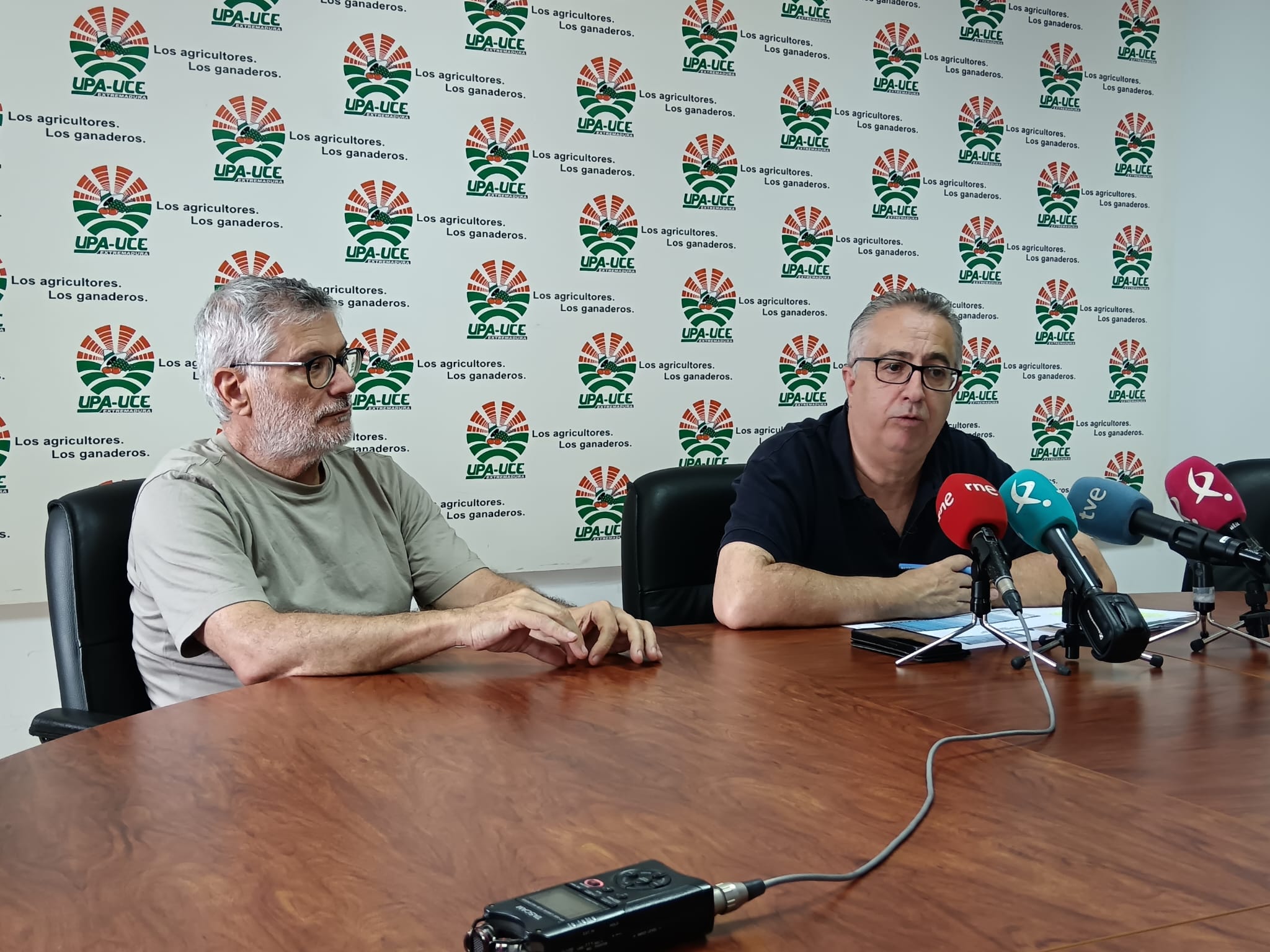 UPA-UCE: La campaña del tomate será tardía, con menos superficie y precios ruinosos UPA-UCE: La campaña del tomate será tardía, con menos superficie y precios ruinosos