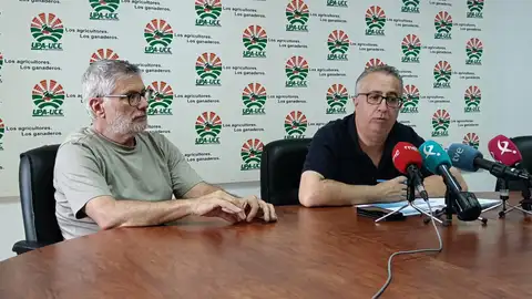 UPA-UCE: La campaña del tomate será tardía, con menos superficie y precios ruinosos UPA-UCE: La campaña del tomate será tardía, con menos superficie y precios ruinosos