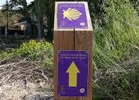 Diputación programa un Camino de Santiago para las familias de Toledo Diputación programa un Camino de Santiago para las familias de Toledo