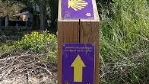 Camino de Santiago a su paso por provincia de Guadalajara.