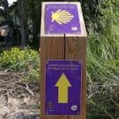 Camino de Santiago a su paso por provincia de Guadalajara.