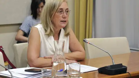 La Junta defiende sus "cambios" en protección de menores y justicia juvenil frente al "estancamiento" dejado por el PSOE La Junta defiende sus "cambios" en protección de menores y justicia juvenil frente al "estancamiento" dejado por el PSOE