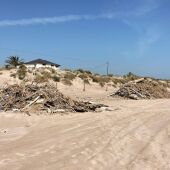 Playas de la zona norte del litoral de Cullera repletas de cañas