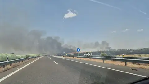 El Plan Infoex ha declarado este jueves el nivel 1 en tres incendios forestales, desactivándolos tras las intervenciones El Plan Infoex ha declarado este jueves el nivel 1 en tres incendios forestales, desactivándolos tras las intervenciones