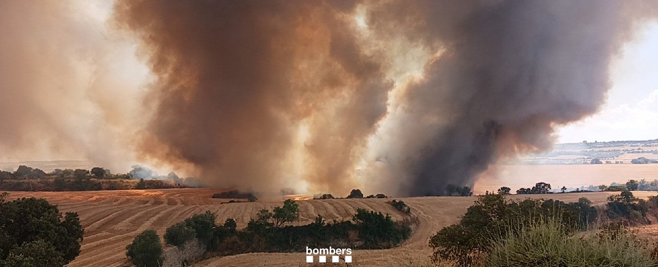 Estabilizado el incendio que ha arrasado más de 400 hectáreas en Cataluña y ha obligado a confinar varios municipios Estabilizado el incendio que ha arrasado más de 400 hectáreas en Cataluña y ha obligado a confinar varios municipios