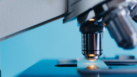 Las Becas FERO, un reconocimiento a los mejores investigadores sanitarios del a&ntilde;o