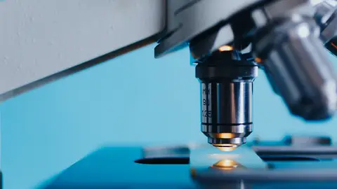 Las Becas FERO, un reconocimiento a los mejores investigadores sanitarios del año Las Becas FERO, un reconocimiento a los mejores investigadores sanitarios del año