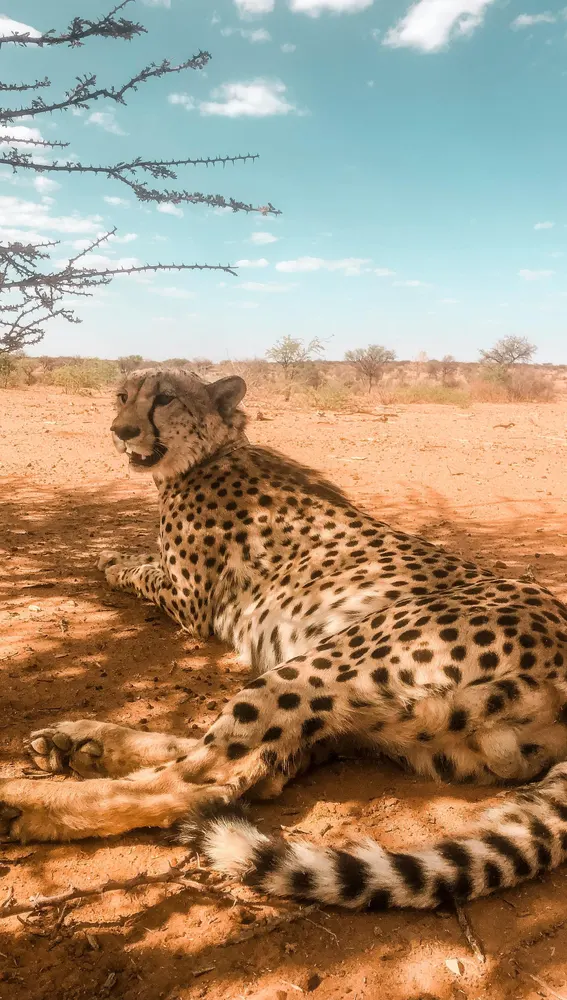 Namibia, África Namibia, África