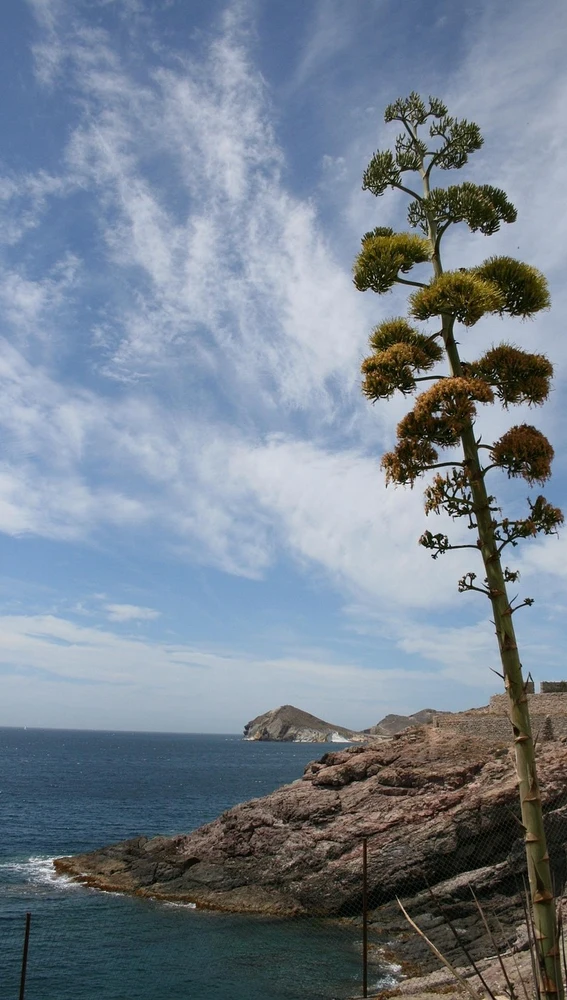 Costa de Almería Costa de Almería