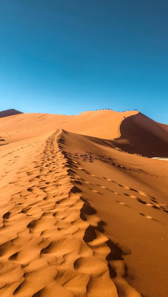 El África salvaje El África salvaje