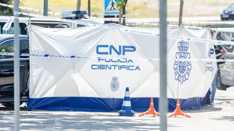 Agentes de la Policía Científica trabajan en el lugar en el que han ocurrido los hechos, a 21 de mayo de 2025, en Pozuelo de Alarcón, Madrid (España). Agentes de la Policía Científica trabajan en el lugar en el que han ocurrido los hechos, a 21 de mayo de 2025, en Pozuelo de Alarcón, Madrid (España).