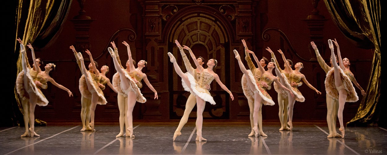 El Museo Universidad de Navarra propone, en su décimo aniversario, una temporada para celebrar la danza, la ópera y la creación emergente El Museo Universidad de Navarra propone, en su décimo aniversario, una temporada para celebrar la danza, la ópera y la creación emergente