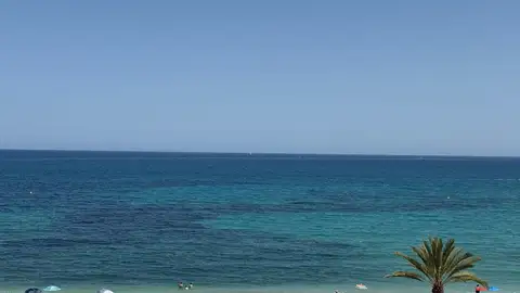 La Marina Baixa se prepara para la Noche de San Juan La Marina Baixa se prepara para la Noche de San Juan